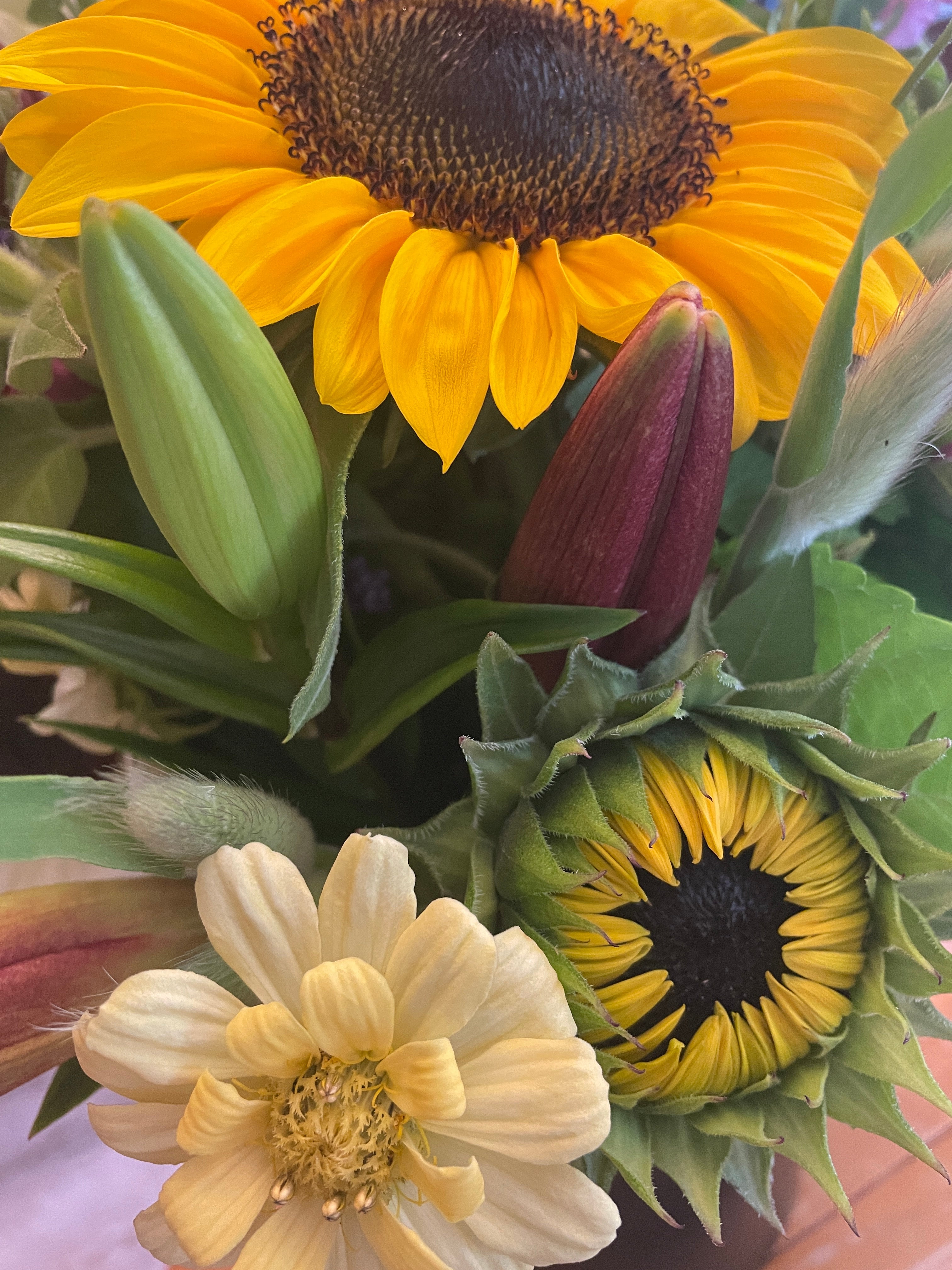 Summer 2025 Flower CSA Pick up From Wilmington Farmers Market At Tidal summer-2025-flower-csa-pick-up-from-wilmington-farmers-market-at-tidal